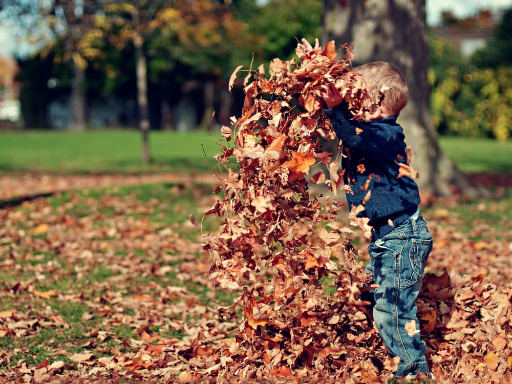 Children on a day out at a local Timperley park